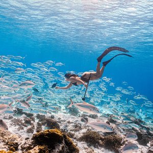 Similan Island by Speed Catamaran
