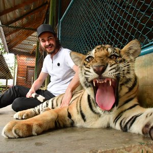 PHUKET : TIGER KINGDOM KATHU