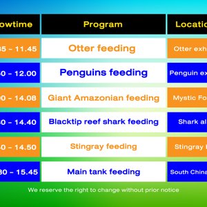 feedingtime_en.jpg