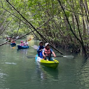 Krabi : Kayak Adventure through Ao Thalane Mangrove Forest