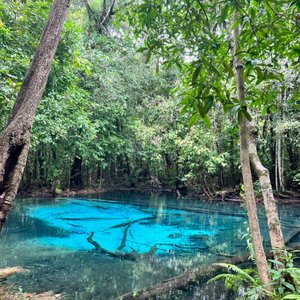 Krabi: Hot spring and Emerald Pool Jungle Tour.