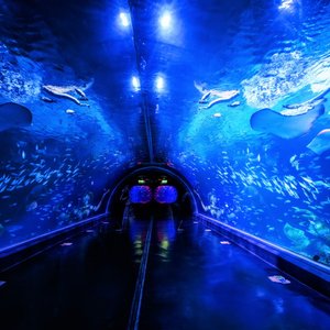 00 (41).jpg