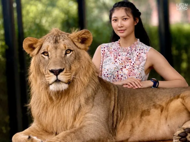 Lionland