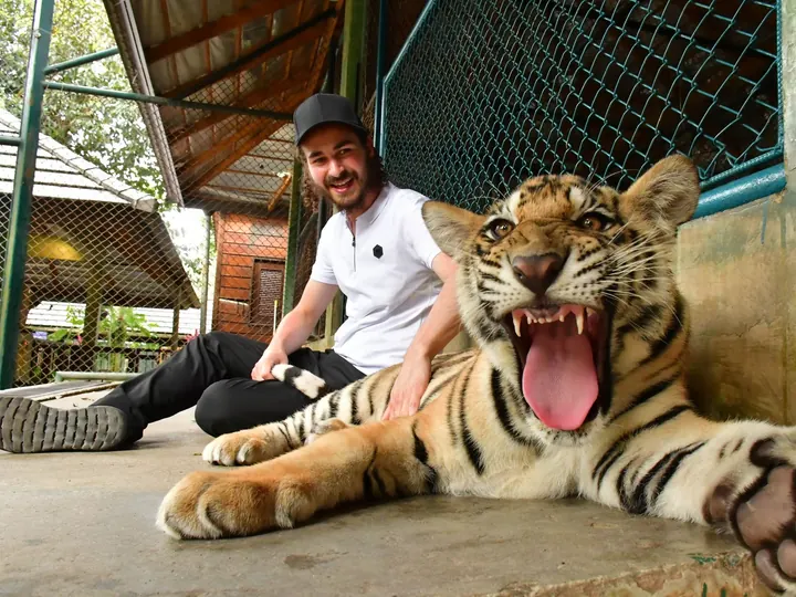 Phuket: Tiger Kingdom Kathu