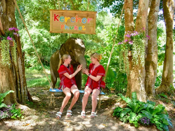 Phuket: Experience feeding and bathing elephants 2.5 Hrs.Kerchor