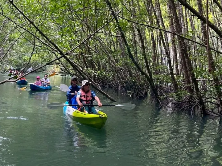 Krabi : Kayak Adventure through Ao Thalane Mangrove Forest