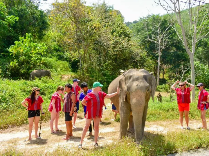 Phuket: Experience feeding and bathing elephants 1.5 Hrs.Kerchor